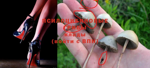 apvp Кулебаки