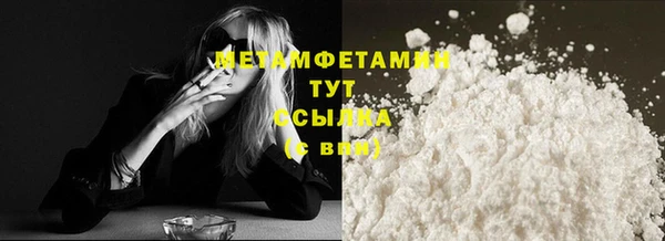 гидра Надым