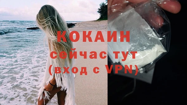 дживик Кукмор