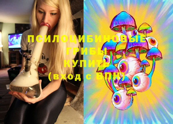 2c-b Куйбышев